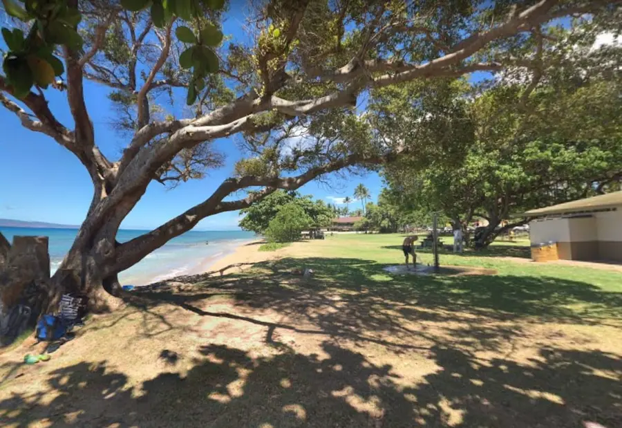 Honokowai Beach Park. Playground, sandy beach and tide pools! 200 yards from the condo!