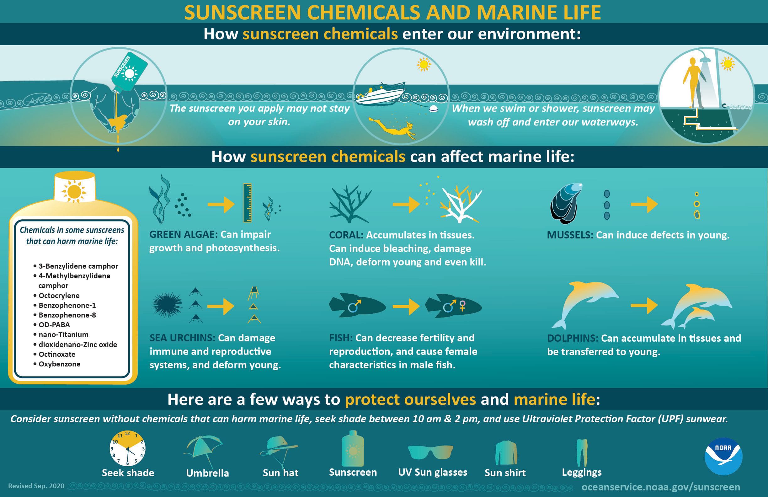 Reef friendly sunscreens only please!